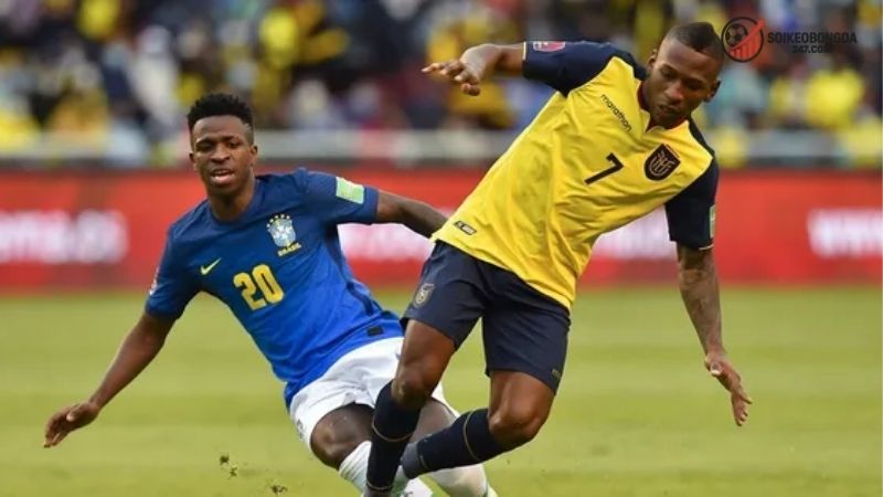 Nhận định bóng đá Ecuador vs Brazil - Thách thức khó khăn  2 Thông tin lực lượng Ecuador vs Brazil mới nhất