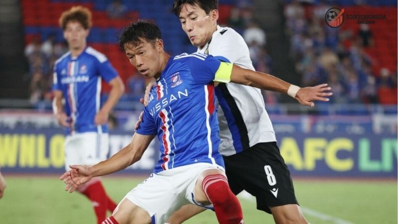 Nhận định bóng đá Yokohama FC vs Cerezo – Cuộc chiến   2 Thông tin lực lượng Yokohama FC vs Cerezo Osaka mới nhất