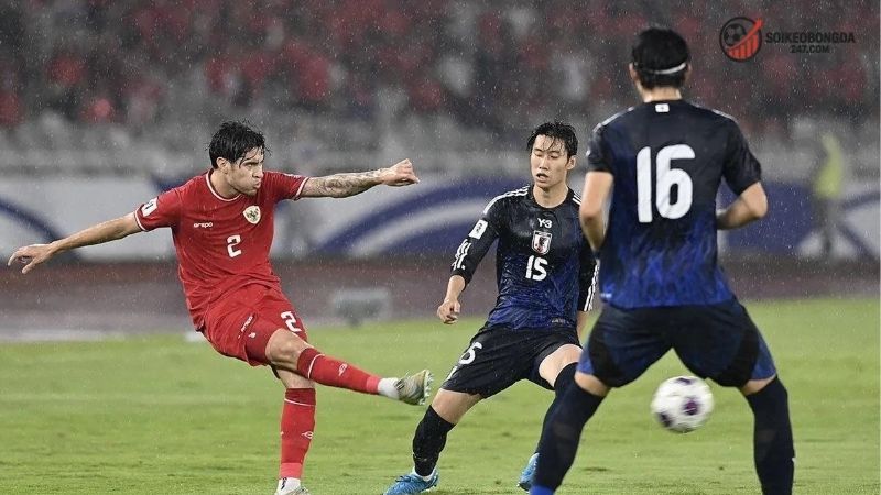 Nhận định bóng đá Nhật Bản vs Indonesia - Trận đấu hấp dẫn 2 Thông tin lực lượng Nhật Bản vs Indonesia