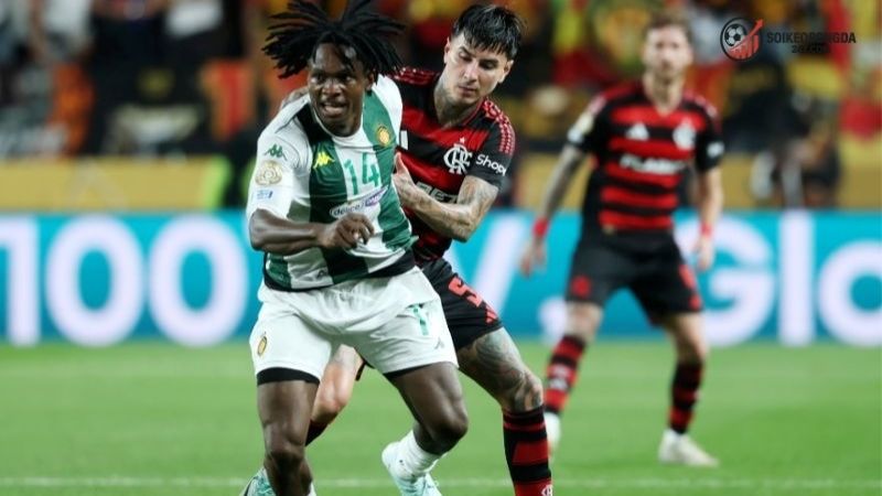 Nhận định bóng đá Los Angeles vs Flamengo – Cuộc chạm trán  2 Thông tin lực lượng Los Angeles vs Flamengo mới nhất