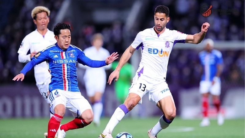 Nhận định bóng đá Yokohama FC vs Sanfrecce Hiroshima   2 Thông tin lực lượng Yokohama FC vs Sanfrecce Hiroshima mới nhất
