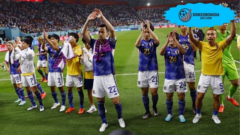 Kinh nghiệm soi kèo bóng đá giúp bạn nâng cao tỷ lệ thắng 2 Nắm vững kiến thức về kèo bóng đá là gì