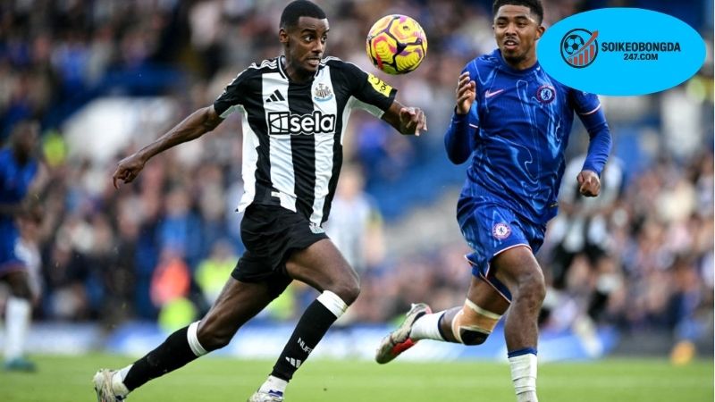Nhận định bóng đá Ngôi sao Hàn Quốc vs Newcastle, 18h00 ngày 30/7 2 Thông tin lực lượng Ngôi sao Hàn Quốc vs Newcastle mới nhất