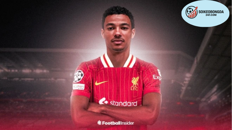 Chuyển Nhượng Liverpool 2025 - Tin Đồn & Dự Đoán Mới Nhất 2 Diễn biến chuyển nhượng Liverpool trong những năm trước