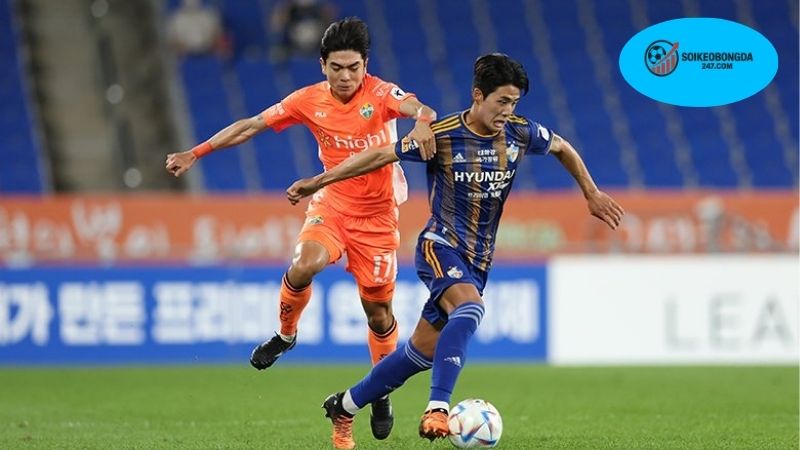 Nhận định bóng đá Bodo Glimt vs Valerenga, 23h00 ngày 26/7, nối dài mạch thắng 2 Cập nhật thông tin mới nhất về lực lượng Bodo Glimt và Valerenga