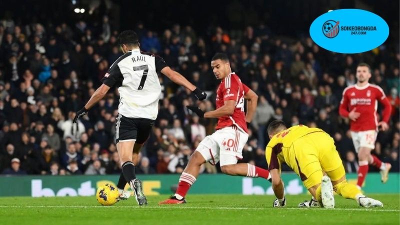 Nhận định bóng đá Fulham vs Nottingham Forest, 02h00 ngày 27/7 2 Thông tin lực Fulham vs Nottingham Forest mới nhất
