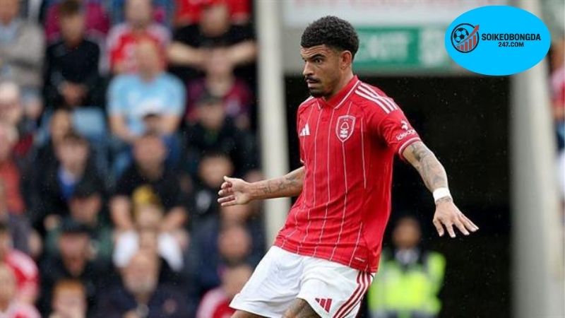 Nhận định bóng đá Fulham vs Nottingham Forest - Trận Giao Hữu  2 Thông tin lực Fulham vs Nottingham Forest mới nhất