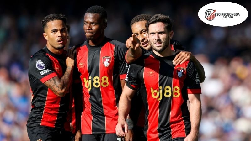 Đánh Giá Đội Hình Và Chiến Thuật Của Bournemouth