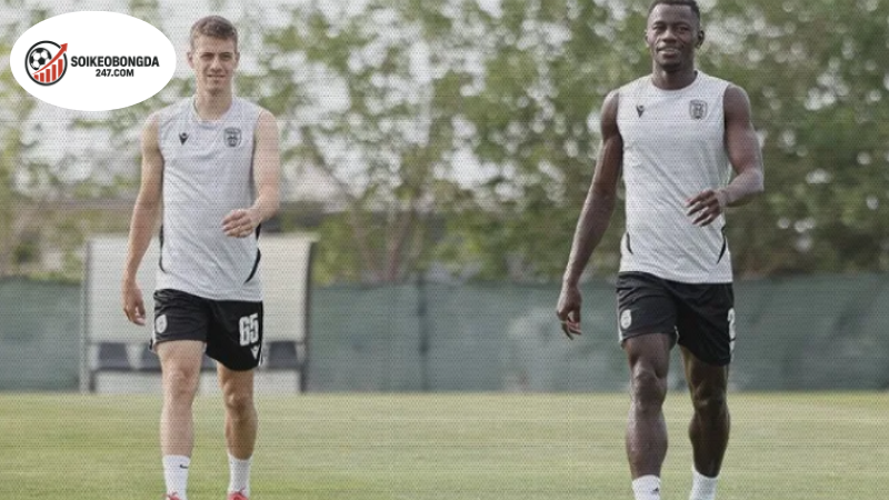 Nhận định bóng đá Wolfsberger vs PAOK, 00h00 ngày 15/8 2 Thông tin lực Wolfsberger vs PAOK mới nhất