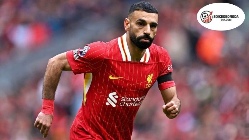 Top Ngôi Sao Bóng Đá Ngoại Hạng Anh Nổi Bật Nhất Hiện Nay 2 Tầm Quan Trọng Của Ngôi Sao Bóng Đá Ngoại Hạng Anh