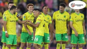 Soi Kèo Norwich Hôm Nay - Nhận Định Chính Xác & Chi Tiết 6 Đặc Điểm Đội Bóng Norwich City