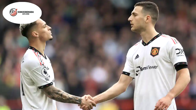 Đá Giao Hữu Là Gì Trong Cuộc Sống? Tìm Hiểu Về Môn Thể Thao Thân Thiết Này 2 Khái Niệm Cơ Bản Về Đá Giao Hữu