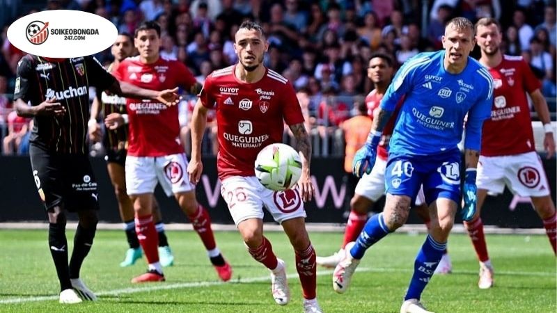 Soi kèo bóng đá Lens vs Brest, 01h45 ngày 30/8, thử kêu, đốt xịt 2 Thông tin lực lượng Lens vs Brest mới nhất