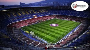 Tổng Quan Về Sức Chứa Sân Vận Động Hiện Nay Tại Việt Nam 1 Tầm Quan Trọng Của Sức Chứa Sân Vận Động