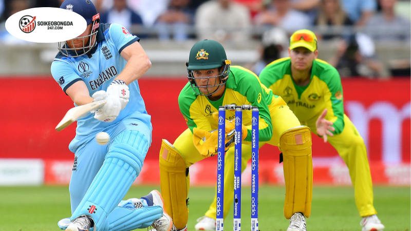 Loạt trận Cricket quốc tế cuối tháng 8 - Đội tuyển tối ưu trong các giải ODI và T20I 2 Tổng quan về các trận đấu ODI và T20I