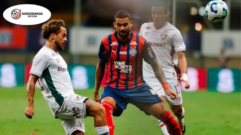 Soi kèo vỉa hè Bahia vs Fluminense, 05h30 ngày 29/8 2 Soi kèo vỉa hè Bahia vs Fluminense