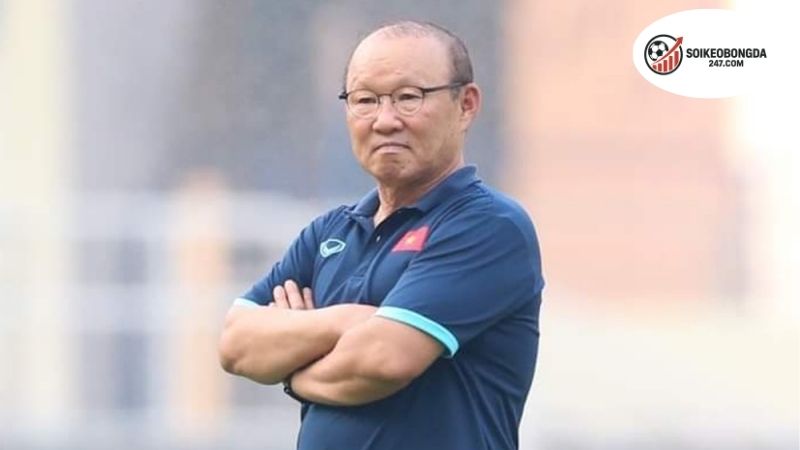 Huấn luyện viên đội tuyển Việt Nam - Những chiến lược thành công 2 Vai trò của huấn luyện viên trong đội tuyển