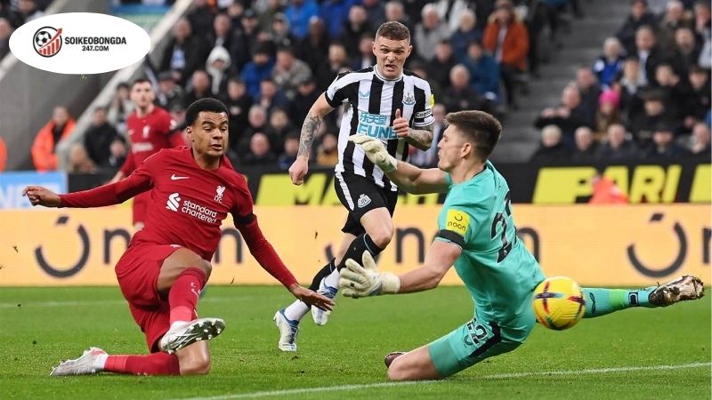 Soi kèo góc Newcastle vs Liverpool, 02h00 ngày 26/8 2 Soi kèo góc Newcastle vs Liverpool