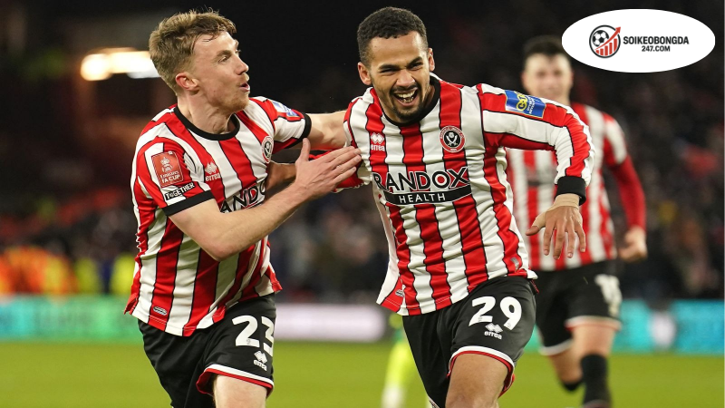 Nhận định bóng đá Birmingham vs Sheffield United, 02h00 ngày 14/8 2 Thông tin lực lượng Birmingham vs Sheffield United mới nhất