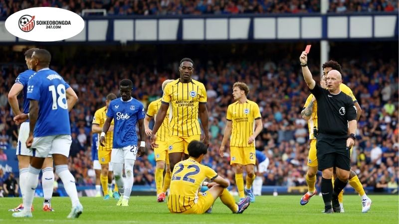 Soi Kèo góc Everton vs Brighton, 20h00 ngày 24/8 2 Soi kèo góc Everton vs Brighton