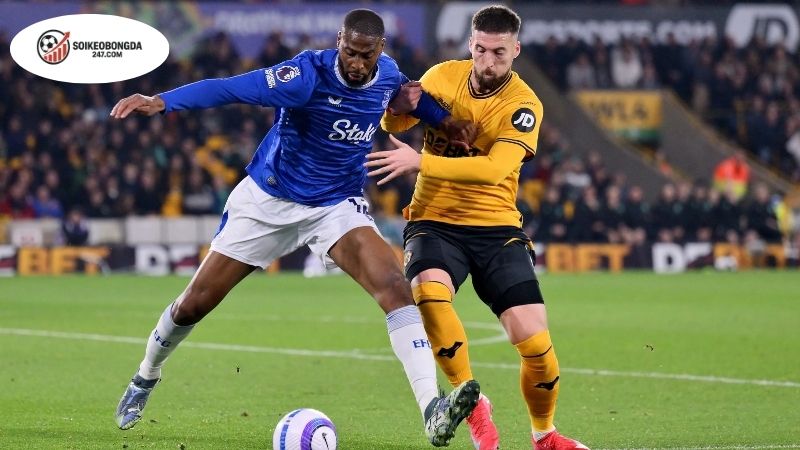 Soi kèo bóng đá Wolves vs Everton, 21h00 ngày 30/8, niềm vui đầu dành cho Wolves! 2 Thông tin lực lượng Wolves vs Everton mới nhất