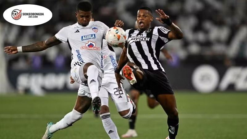 Soi kèo vỉa hè LDU Quito vs Botafogo