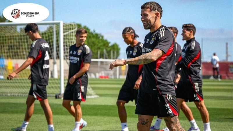 Soi kèo bóng đá Benfica vs Qarabag, 02h00 ngày 17/9, dễ cho Benfica 2 Thông tin lực lượng Benfica vs Qarabag mới nhất