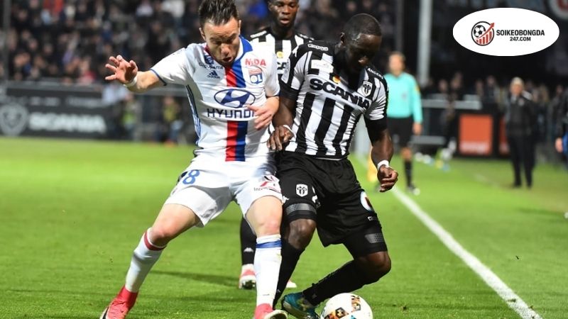 Soi kèo bóng đá Lyon vs Angers, 01h45 ngày 20/9, mồi ngon đét 2 Thông tin lực lượng Lyon vs Angers mới nhất