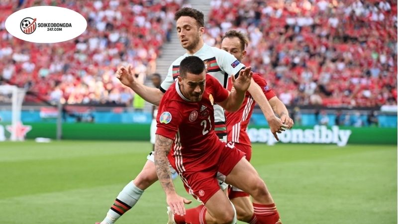 Soi kèo bóng đá Hungary vs Bồ Đào Nha, 01h45 ngày 10/9, 3 điểm cho Ronaldo và Bồ 2 Thông tin lực lượng Hungary vs Bồ Đào Nha mới nhất