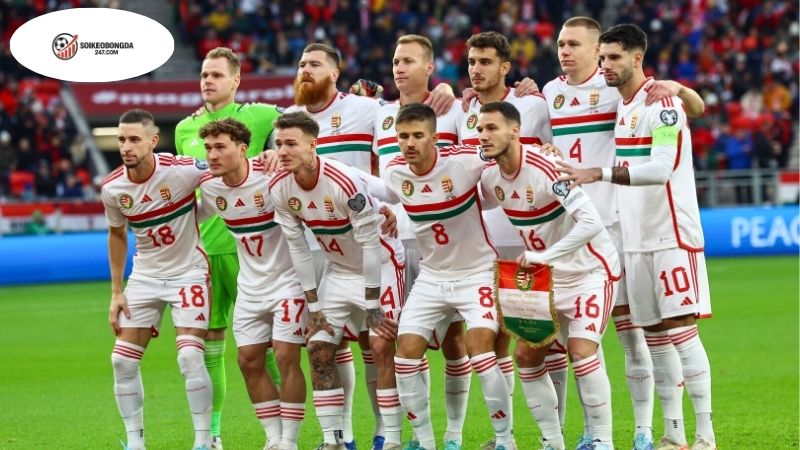 Kèo Tài Xỉu là gì? Hướng Dẫn Chi Tiết Cho Người Mới Bắt Đầu 2 Khái niệm cơ bản về kèo tài xỉu là gì?