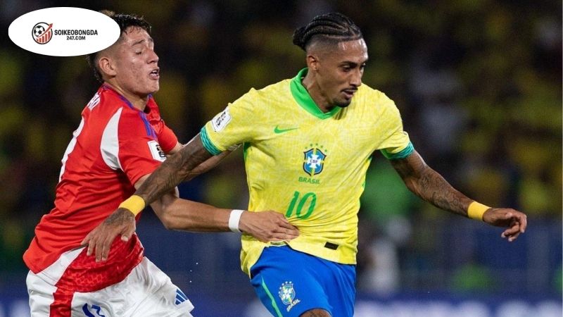 Soi kèo bóng đá Bolivia vs Brazil, 06h30 ngày 10/9, ngộp thở ở trên cao! 2 Thông tin lực lượng Bolivia vs Brazil mới nhất
