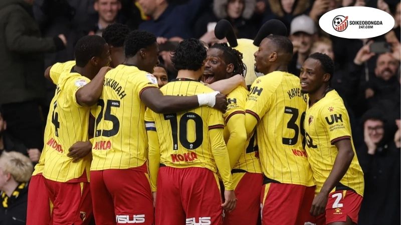 Soi kèo bóng đá Millwall vs Watford, 02h00 ngày 23/9 2 Thông tin lực lượng Millwall vs Watford mới nhất