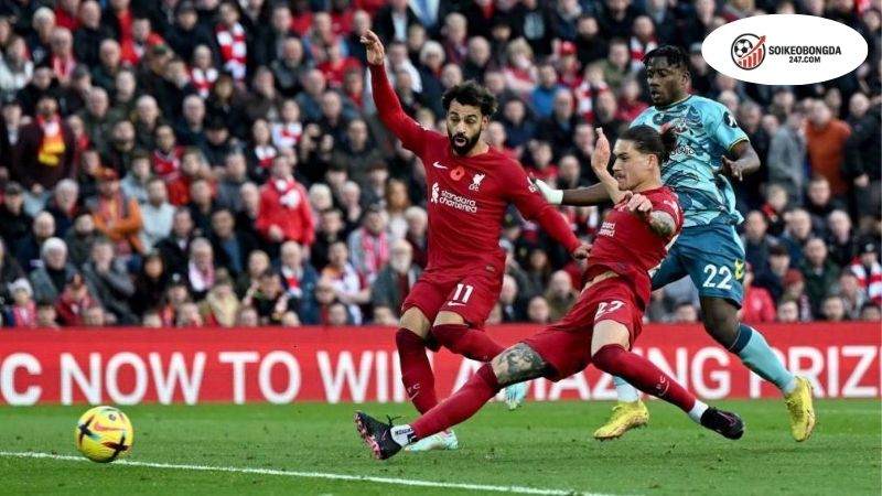 Soi kèo bóng đá Liverpool vs Southampton, 02h00 ngày 24/9, đá chơi cũng thắng 2 Thông tin lực lượng Liverpool vs Southampton mới nhất