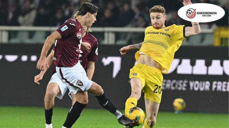 Soi kèo bóng đá Parma vs Torino, 23h30 ngày 29/9 2 Thông tin lực lượng Parma vs Torino mới nhất