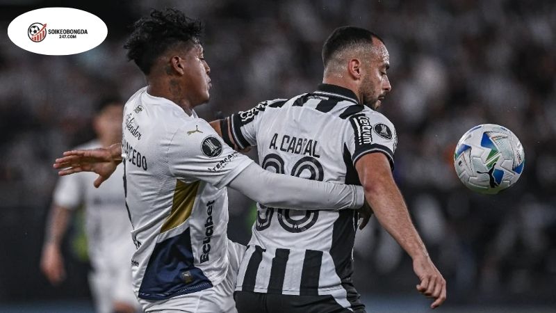 Soi kèo bóng đá Botafogo vs Vasco da Gama, 07h30 ngày 12/9, cậy nhờ cựu sao Liverpool 2 Thông tin lực lượng Botafogo vs Vasco da Gama mới nhất