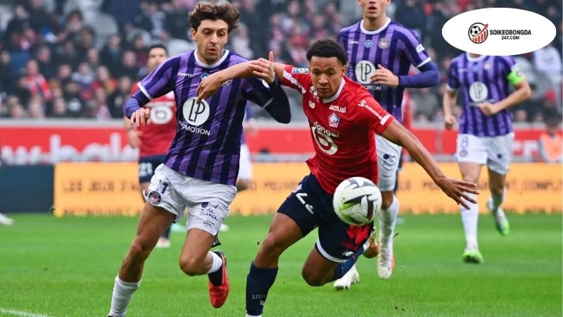 Soi kèo bóng đá Lille vs Toulouse, 20h00 ngày 14/9, thắng là cái chắc! 2 Thông tin lực lượng Lille vs Toulouse mới nhất