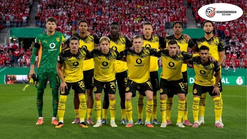 Soi kèo bóng đá Heidenheim vs Dortmund, 20h30 ngày 13/9, Die Borussen không thể bị ngăn cản! 2 Thông tin lực lượng Heidenheim vs Dortmund mới nhất