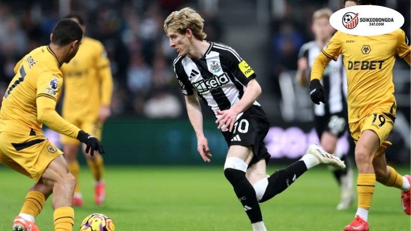 Soi kèo bóng đá Newcastle vs Wolves, 21h00 ngày 13/9, chim chóc líu lo 2 Thông tin lực lượng Newcastle vs Wolves mới nhất