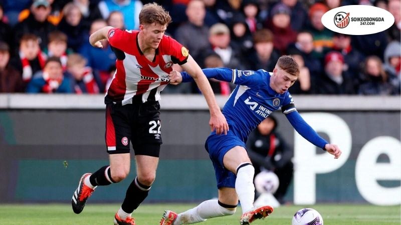 Soi kèo bóng đá Brentford vs Chelsea, 02h00 ngày 14/9, bầy ong gặp chuyện 2 Thông tin lực lượng Brentford vs Chelsea mới nhất