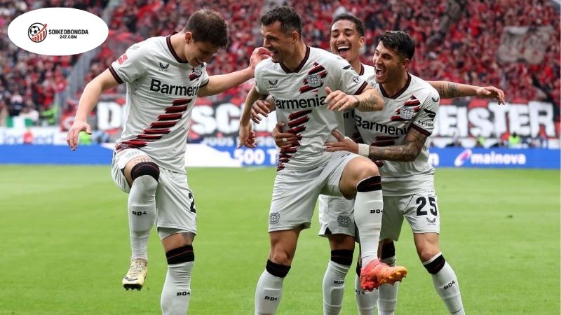 Soi kèo bóng đá Leverkusen vs Frankfurt, 01h30 ngày 13/9, chờ tài tân HLV 2 Thông tin lực lượng Leverkusen vs Frankfurt mới nhất