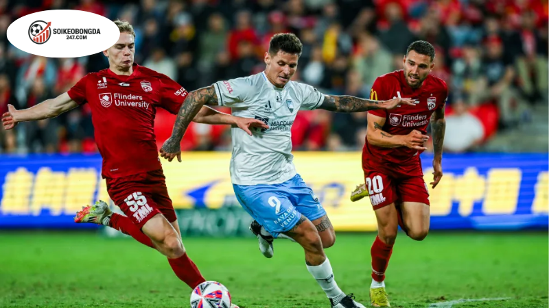 Soi kèo bóng đá Adelaide United vs Sydney FC, 15h00 ngày 17/10 2 Thông tin lực lượng Adelaide United vs Sydney FC mới nhất