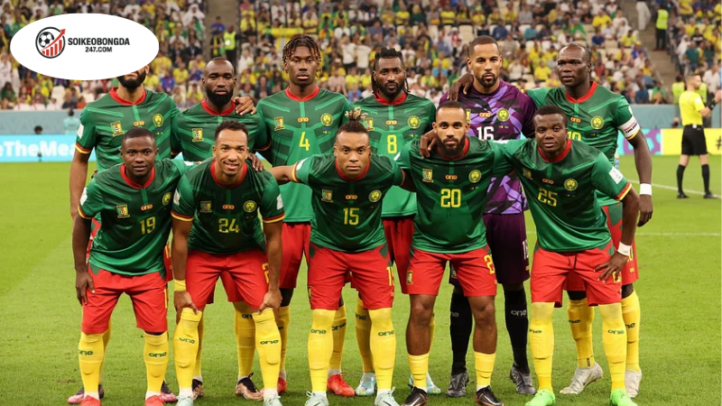 Thông tin lực lượng Mauritius vs Cameroon