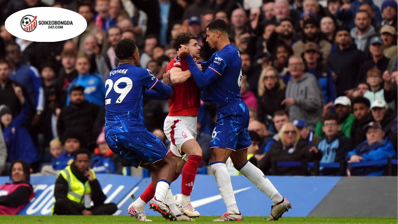 Soi kèo bóng đá Nottingham vs Chelsea, 18h30 ngày 18/10 2 Thông tin lực lượng Nottingham vs Chelsea mới nhất