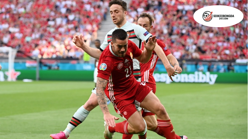 Soi kèo bóng đá Bồ Đào Nha vs Hungary, 01h45 ngày 15/10, Bồ sẽ tham dự World Cup 2026 2 Thông tin lực Bồ Đào Nha vs Hungary mới nhất