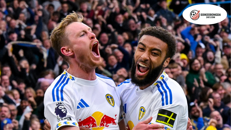 Soi kèo bóng đá Leeds vs Tottenham, 18h30 ngày 4/10, mưa bàn thắng ở Elland Road 2 Thông tin lực lượng Leeds vs Tottenham mới nhất
